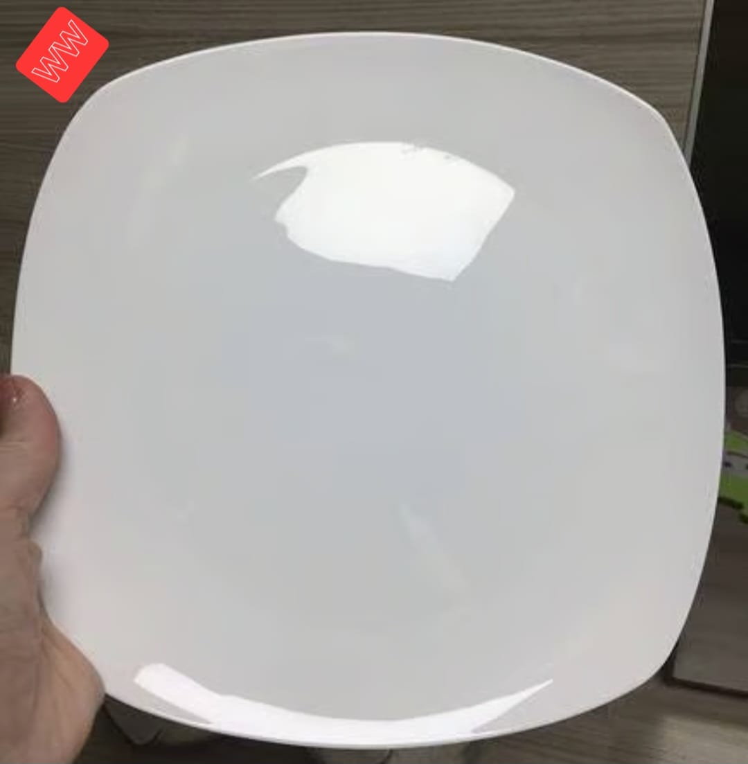 dinner plate