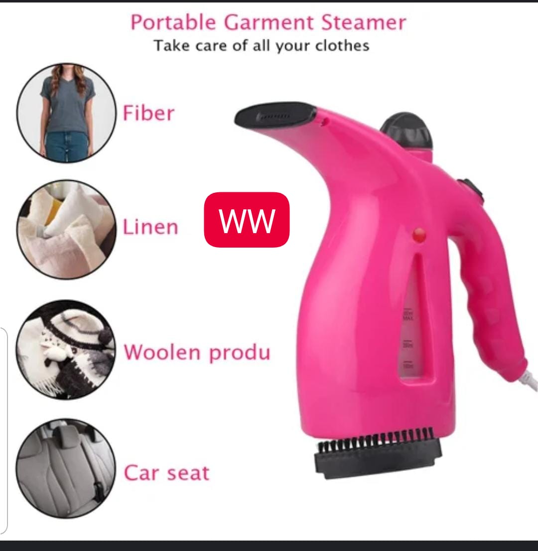 Portable Garment steamer