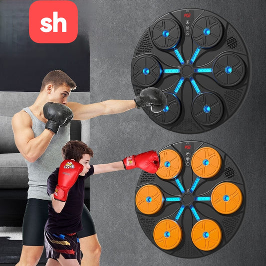 Wall mounted punching dummy