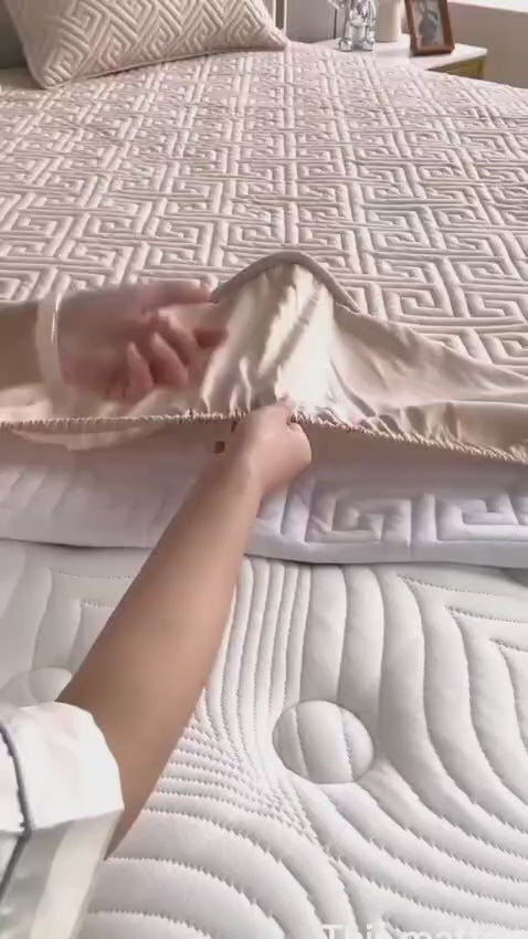 3ps Queen Sizes mattress protector